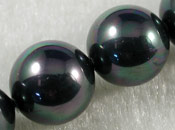 A級貝殼珍珠-10mm黑彩