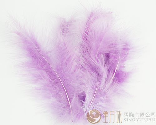 羽毛-浅紫色-100入
